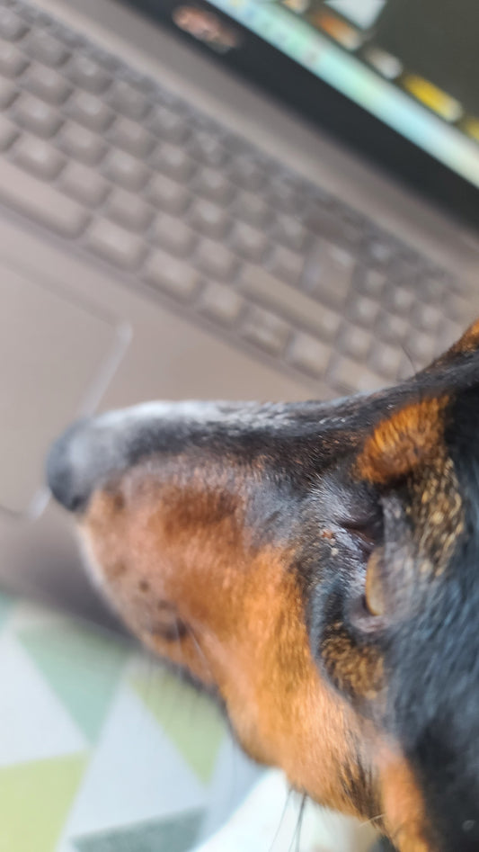 C'est pour bientôt !